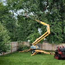 St Joseph, MO Tree Services Company